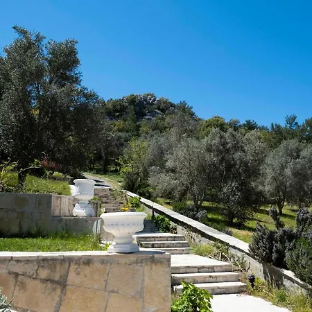 Hotel X Life 15 - Adult