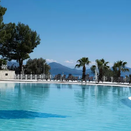 X Life 15 - Adult 4*