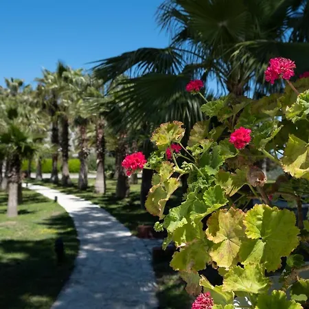 X Life 15 - Adult Sarigerme