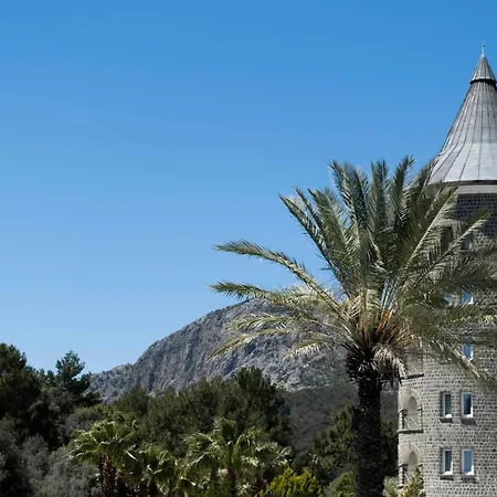 X Life 15 - Adult Sarigerme