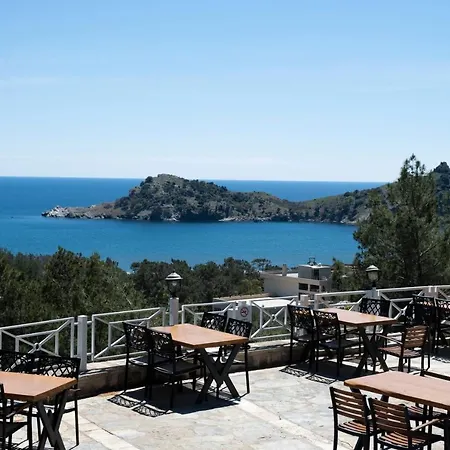 X Life 15 - Adult 4*