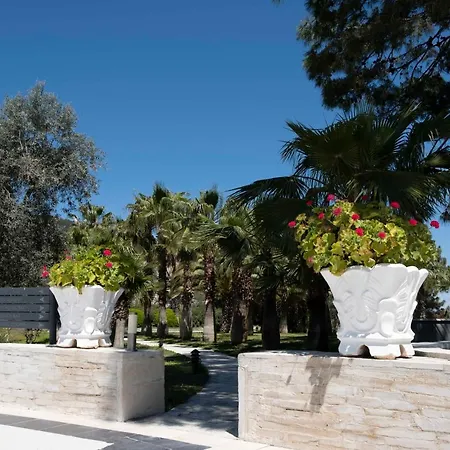 X Life 15 - Adult Sarigerme