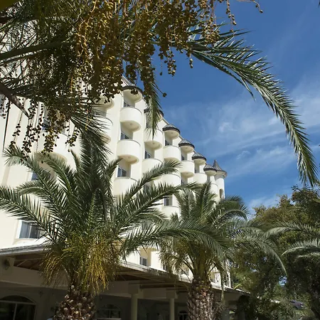 X Life 15 - Adult Sarigerme