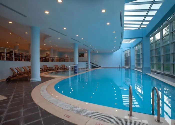 X Life 15 - Adult Sarigerme