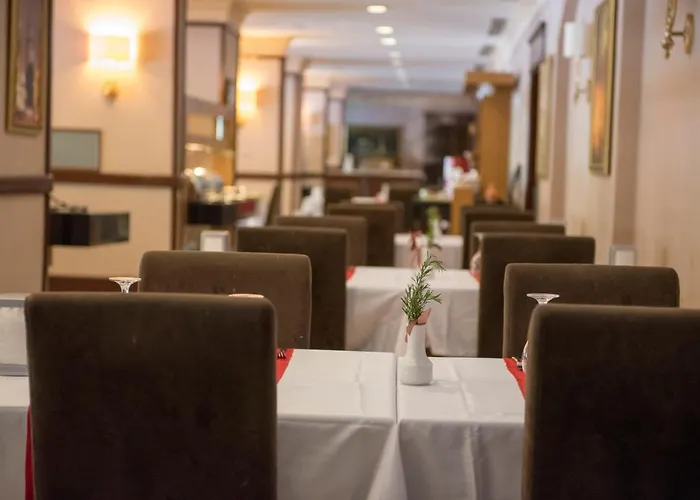 X Life 15 - Adult Sarigerme