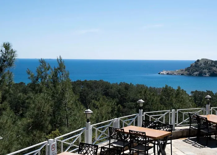 X Life 15 - Adult 4*