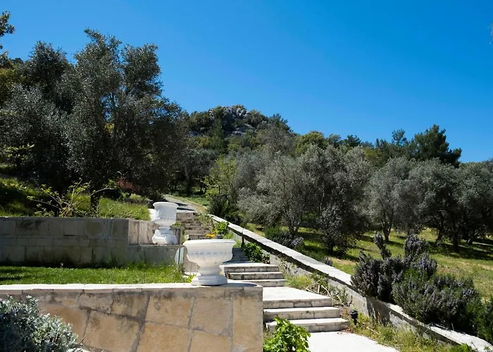 Hotel X Life 15 - Adult