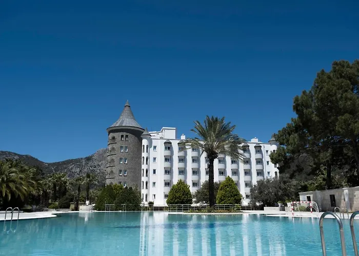 X Life 15 - Adult Sarigerme