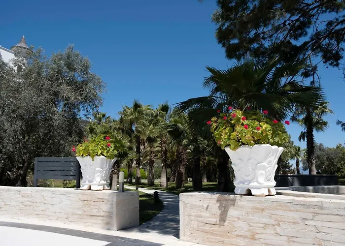 X Life 15 - Adult Sarigerme