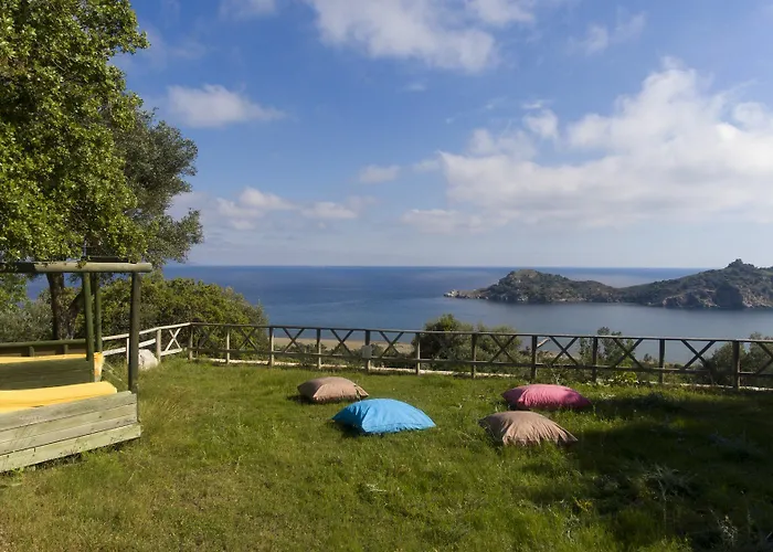 X Life 15 - Adult Sarigerme