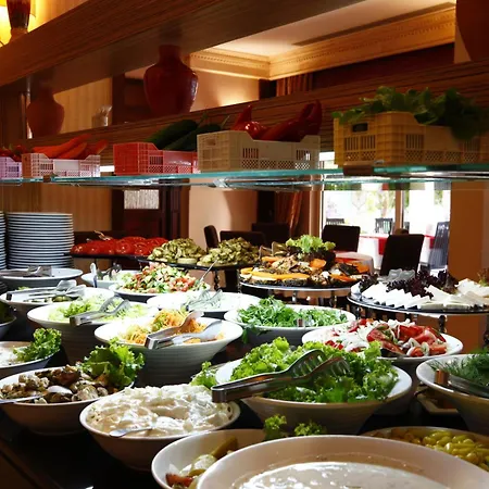 X Life 15 - Adult Sarigerme