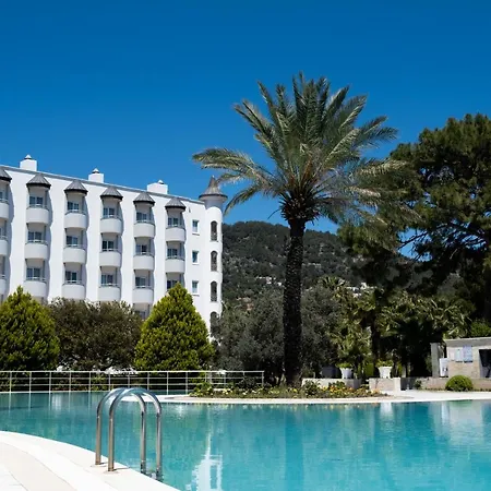 X Life 15 - Adult 4*