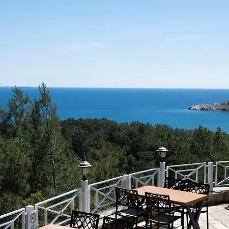 X Life 15 - Adult 4*