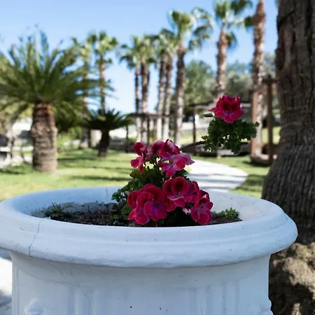 X Life 15 - Adult 4*