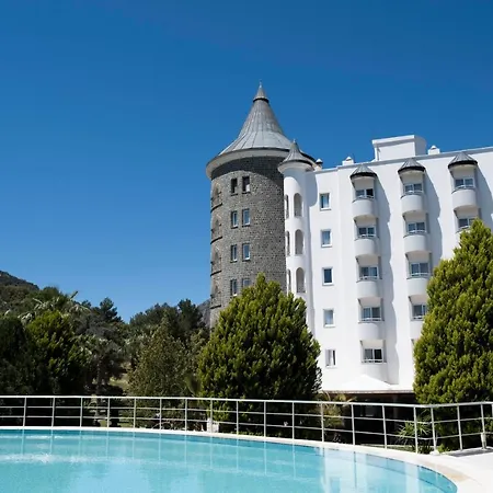 X Life 15 - Adult Sarigerme