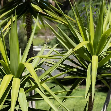 Szálloda X Life 15 - Adult