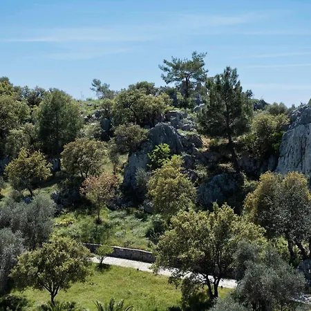 Hotel X Life 15 - Adult 5*