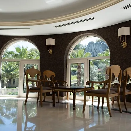 X Life 15 - Adult Sarigerme