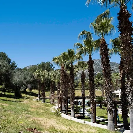 Hotel X Life 15 - Adult 5*