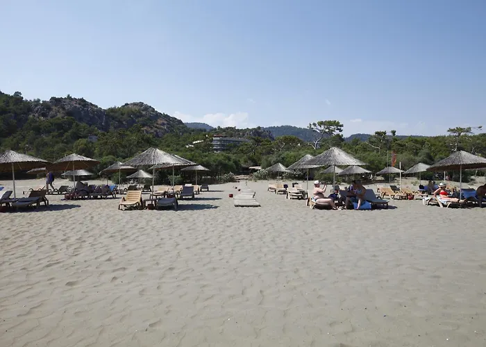 X Life 15 - Adult Hotel 4*