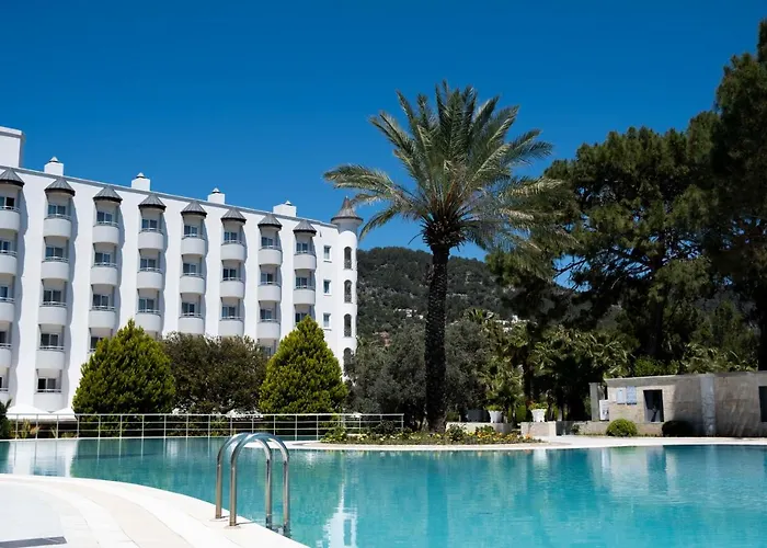 X Life 15 - Adult 4*