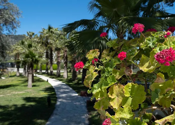 X Life 15 - Adult Sarıgerme