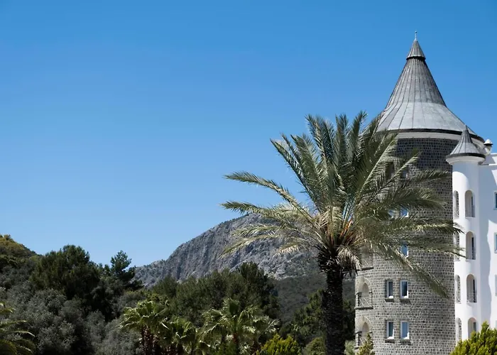 X Life 15 - Adult Sarıgerme