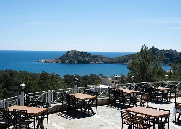 X Life 15 - Adult 4*