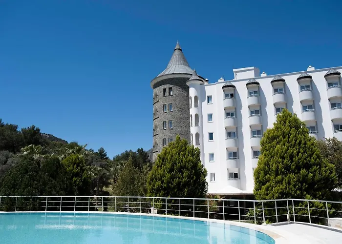 X Life 15 - Adult Sarıgerme