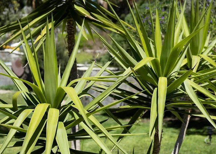 Hotel X Life 15 - Adult