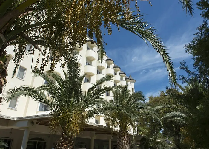 X Life 15 - Adult Sarıgerme